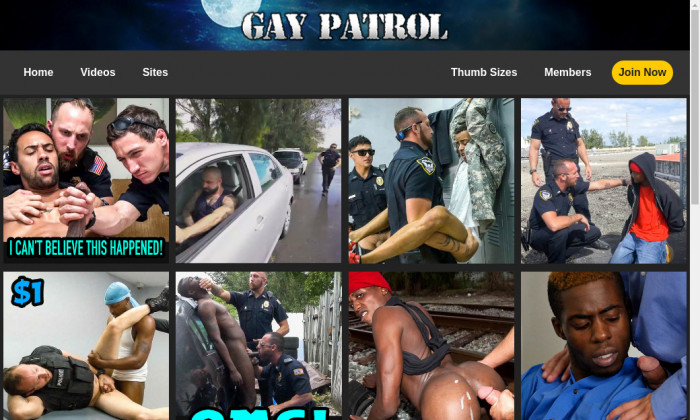 gay patrol
