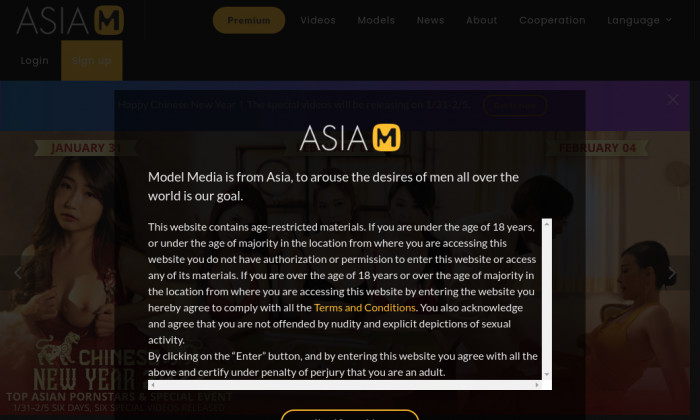 model media asia