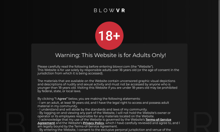 blow vr