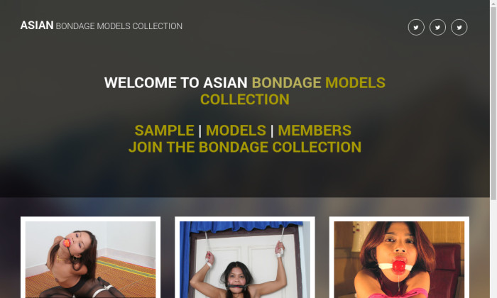 asian bondage models