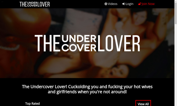 the undercover lover