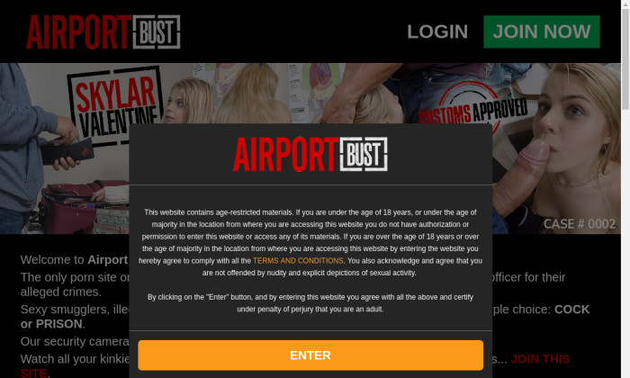 airport arrest