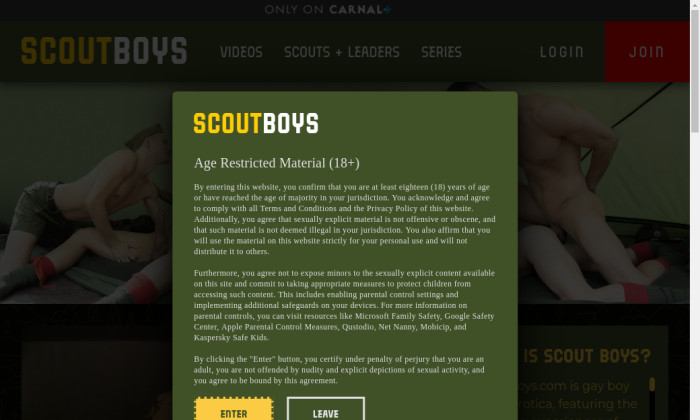 scout boys