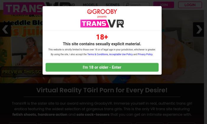 trans vr