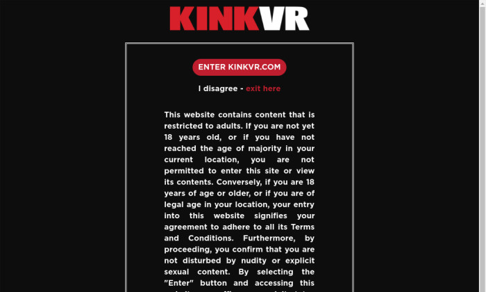 kink vr