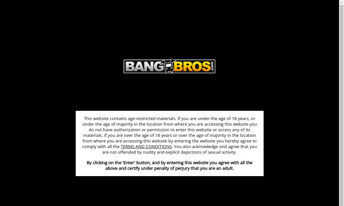 bang bros network