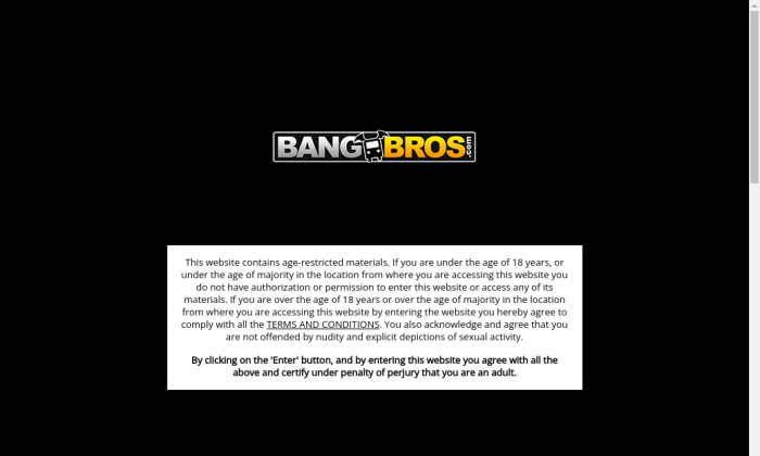 bangbros