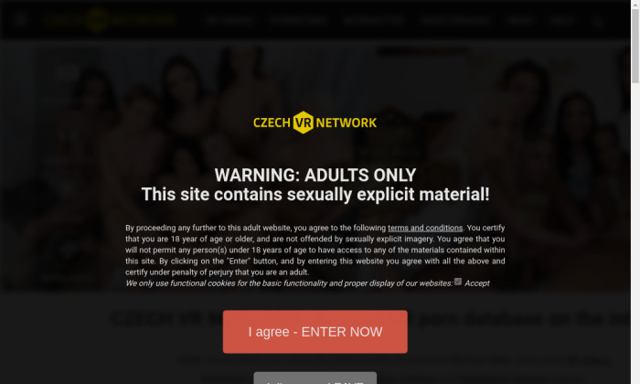 czech vr network