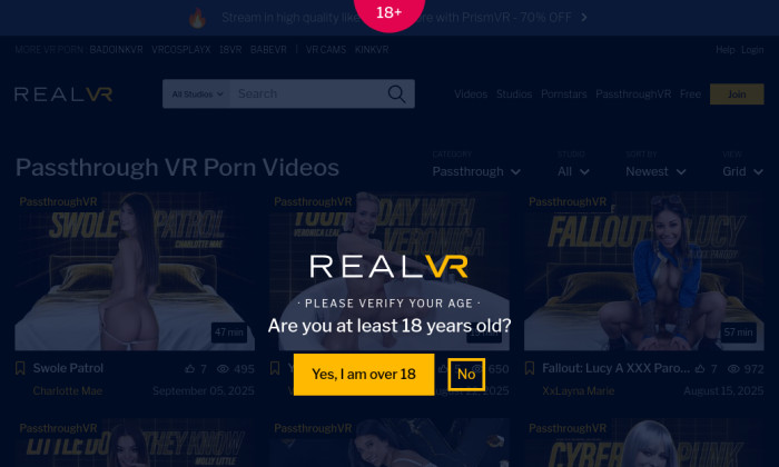 passthrough vr