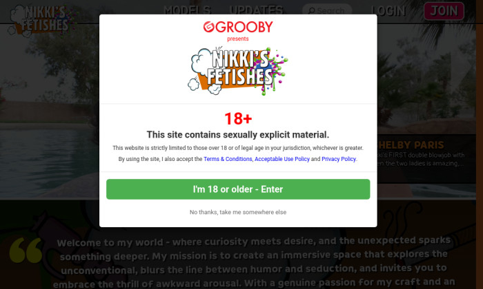 nikkis fetishes