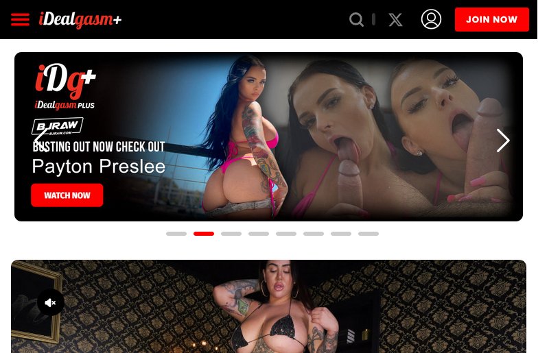 idealgasm plus  password