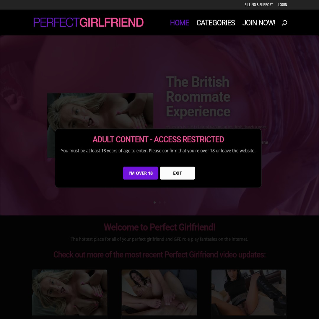 perfect girlfriend password